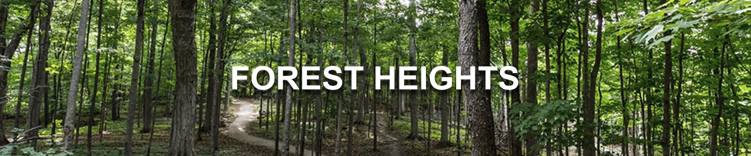 ForestHeights