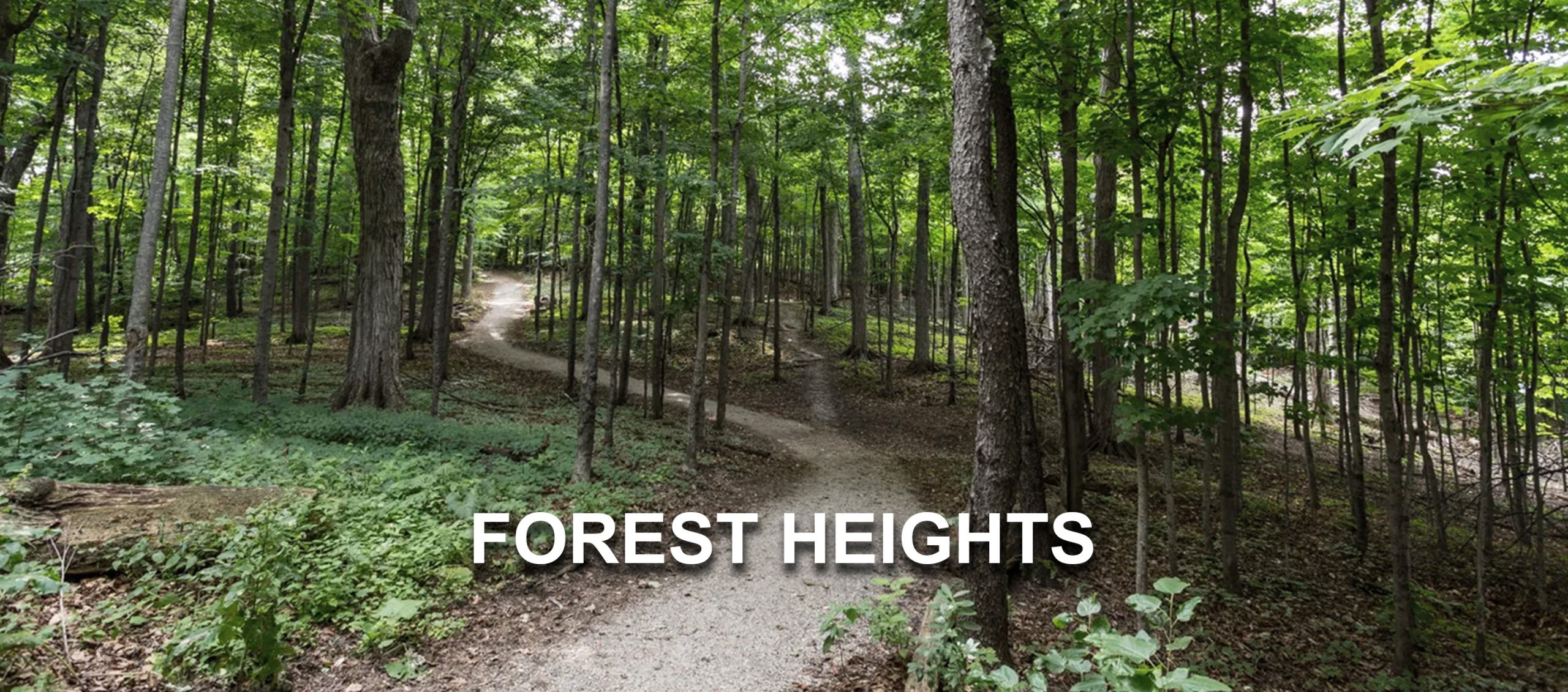 ForestHeights